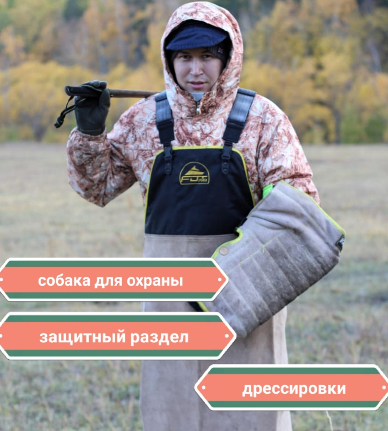 Кавалер кинг-чарльз-спаниель